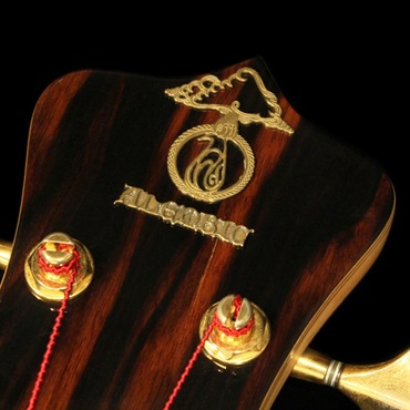 ALEMBIC 【USED】 Custom MSB4 (Macassar Ebony Top) '90 画像9