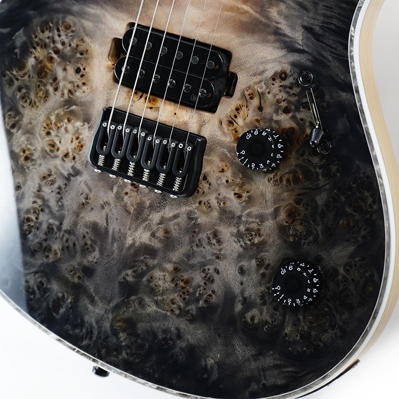 MAYONES Regius 6 Custom (4A Eye Poplar Top / Trans Natural Fade Black Burst Out Gloss) 画像4