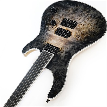 MAYONES Regius 6 Custom (4A Eye Poplar Top / Trans Natural Fade Black Burst Out Gloss) 画像5