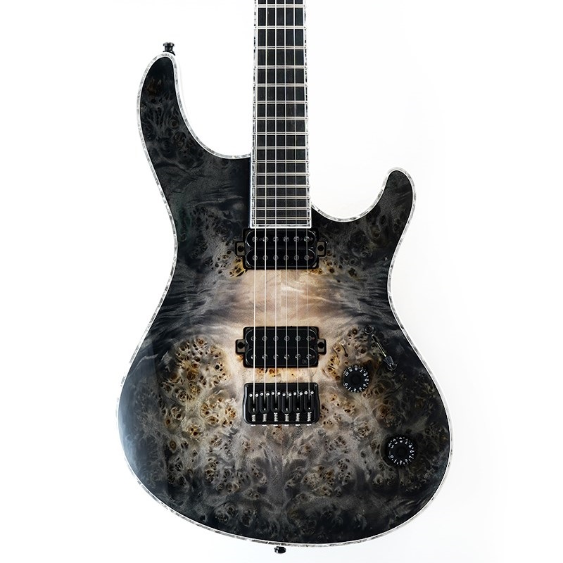 MAYONES Regius 6 Custom (4A Eye Poplar Top / Trans Natural Fade Black Burst Out Gloss) 画像9