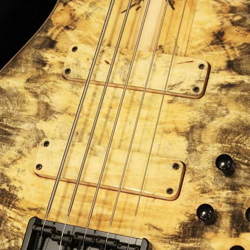 F-bass BN5-NTY (Buckeye Burl Top & Birdseye Maple F.B.) 画像3