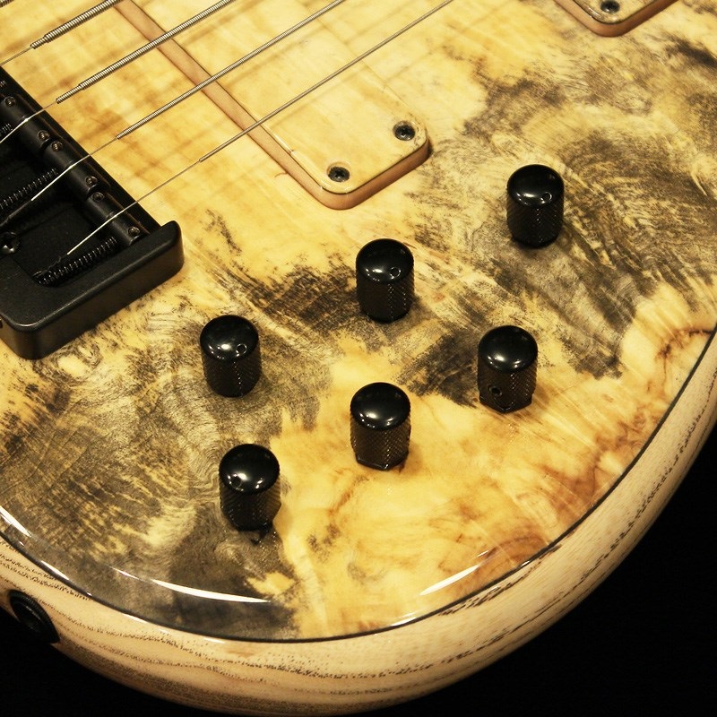 F-bass BN5-NTY (Buckeye Burl Top & Birdseye Maple F.B.) 画像5