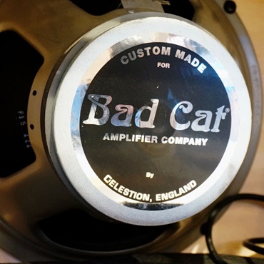 Bad Cat 【USED】CUB III 30R 画像4