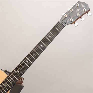 TAYLOR 314ce Special Edition テイラー 画像9