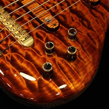 Ritter 【USED】 CORA 5st (Quilted Maple Top)  '14 画像5