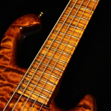 Ritter 【USED】 CORA 5st (Quilted Maple Top)  '14 画像6