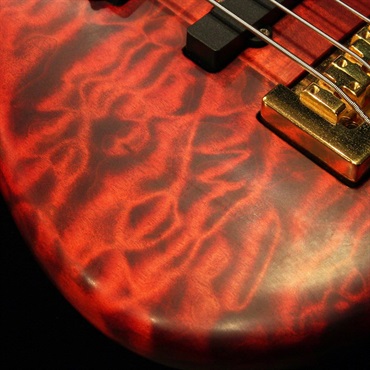 SPECTOR 【USED】 USA NS-2 (Black Cherry Matte Finish) '09 画像3