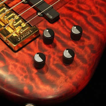 SPECTOR 【USED】 USA NS-2 (Black Cherry Matte Finish) '09 画像4