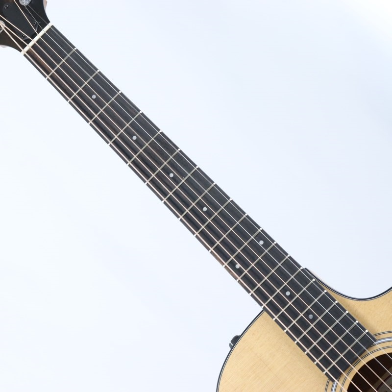 TAYLOR 112ce-S テイラー 画像6
