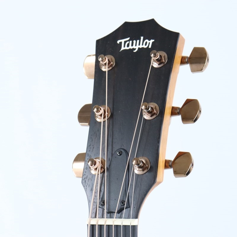 TAYLOR 214ce-Koa DLX テイラー ｜イケベ楽器店オンラインストア