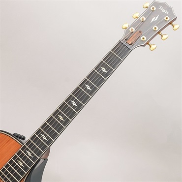 TAYLOR 【数量限定】【Taylorアーティストラウンジ選定品】50th Anniversary Builder's Edition 812ce LTD [50周年記念モデル] テイラー 画像10