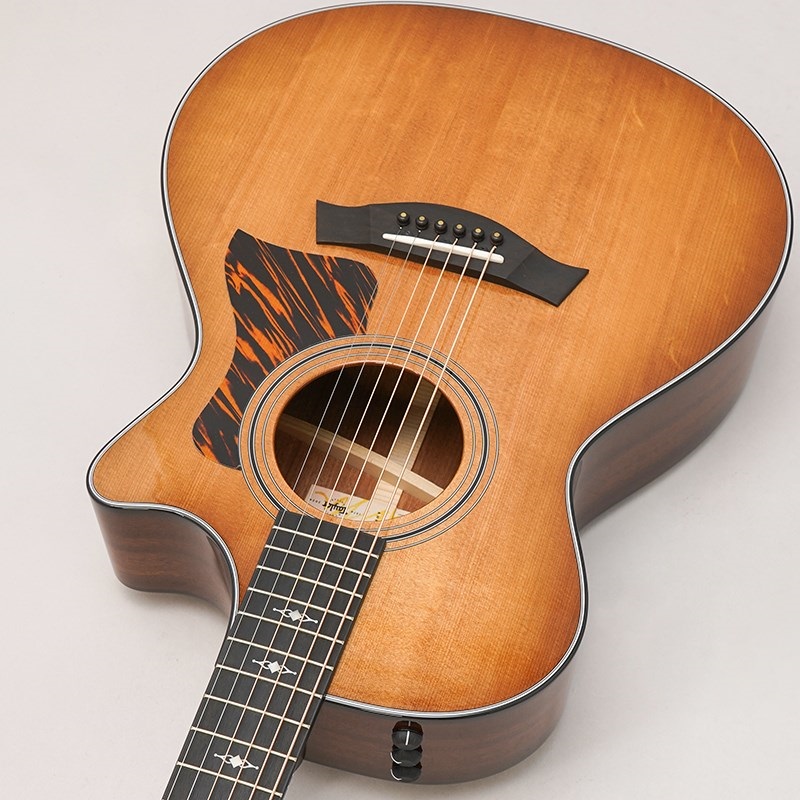 TAYLOR 【数量限定】【Taylorアーティストラウンジ選定品】50th Anniversary 312ce LTD [50周年記念モデル]  テイラー ｜イケベ楽器店オンラインストア