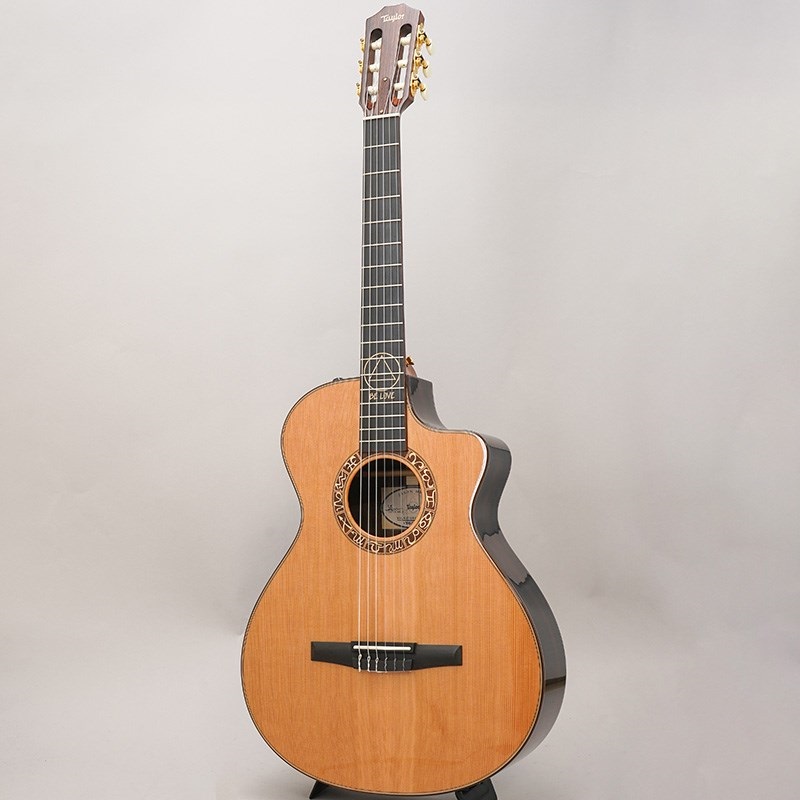 TAYLOR 【1本限定特価】【秋のスーパーセール】 Jason Mraz Signature Model (JMSM) テイラー  ｜イケベ楽器店オンラインストア