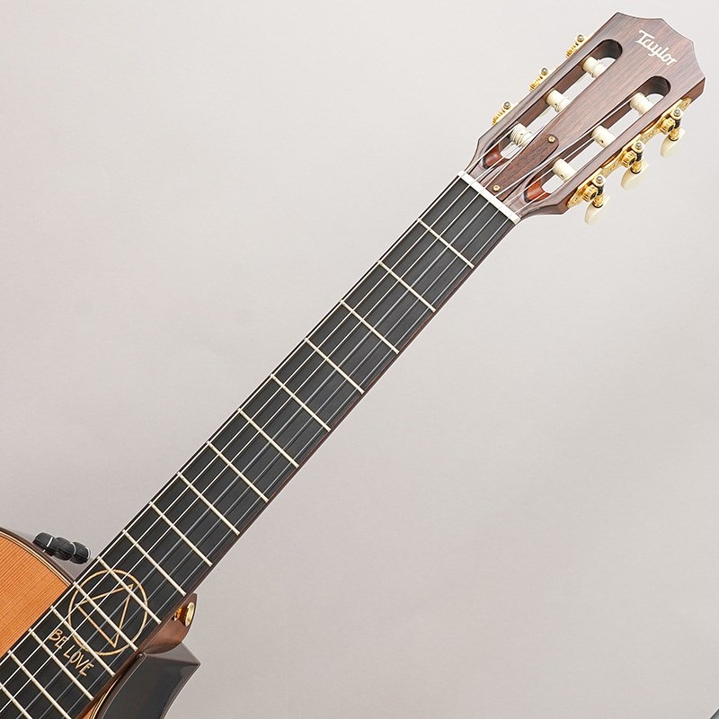 TAYLOR 【1本限定特価】【秋のスーパーセール】 Jason Mraz Signature Model (JMSM) テイラー  ｜イケベ楽器店オンラインストア