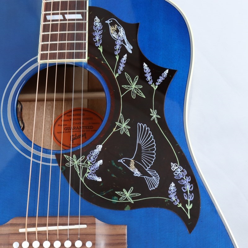 Gibson Miranda Lambert Bluebird (ミランダ・ランバードモデル) ギブソン 画像9