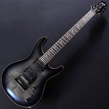 FUJIGEN EXPERT ELAN EEL-FM (Transparent Black Sunburst)#C241136 画像1