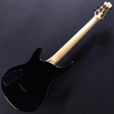 FUJIGEN EXPERT ELAN EEL-FM (Transparent Black Sunburst)#C241136  ｜イケベ楽器店オンラインストア