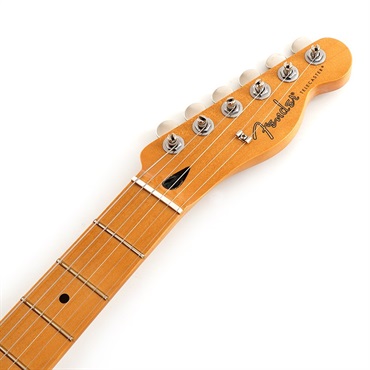 Fender MEX Player II Telecaster (Butterscotch Blonde/Maple) [Chambered Body] 画像4