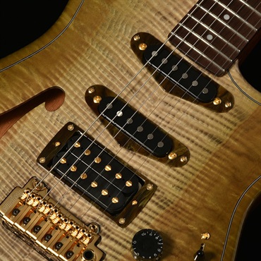 DEVISER 【11月中旬以降入荷予定】 ROSETTA VESSEL TOCHI WSE’24/NJ (UGR-VGR) 【Deviser One Day Guitar Show 2024 選定品】 画像2