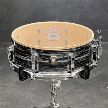 Ludwig 【USED】 LS401XX1Q8 [Classic Maple 14×5/Vintage Black Oyster] 画像3