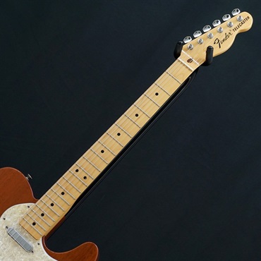 Fender MEX 【USED】 Classic Series 69 Telecaster Thinline (Natural) 【SN.MZ6241371】 画像4