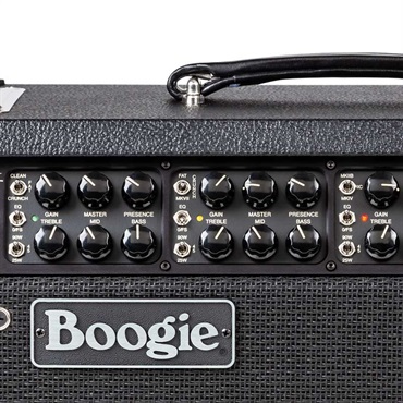 Mesa Boogie Mark VII Head 画像4