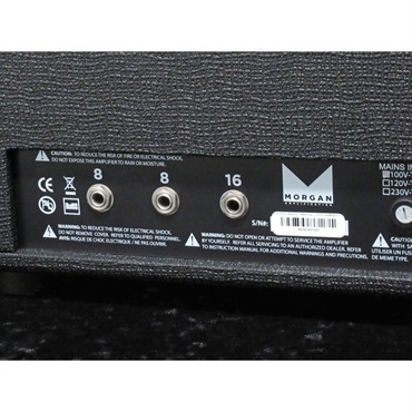 Morgan Amplification MVP23 HEAD 画像3