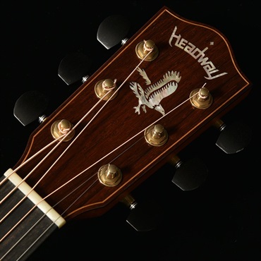 Headway The Eagle’25 Type D CN/SKP 【Deviser One Day Guitar Show 2024選定品】【12月下旬入荷予定】 ヘッドウェイ 画像6