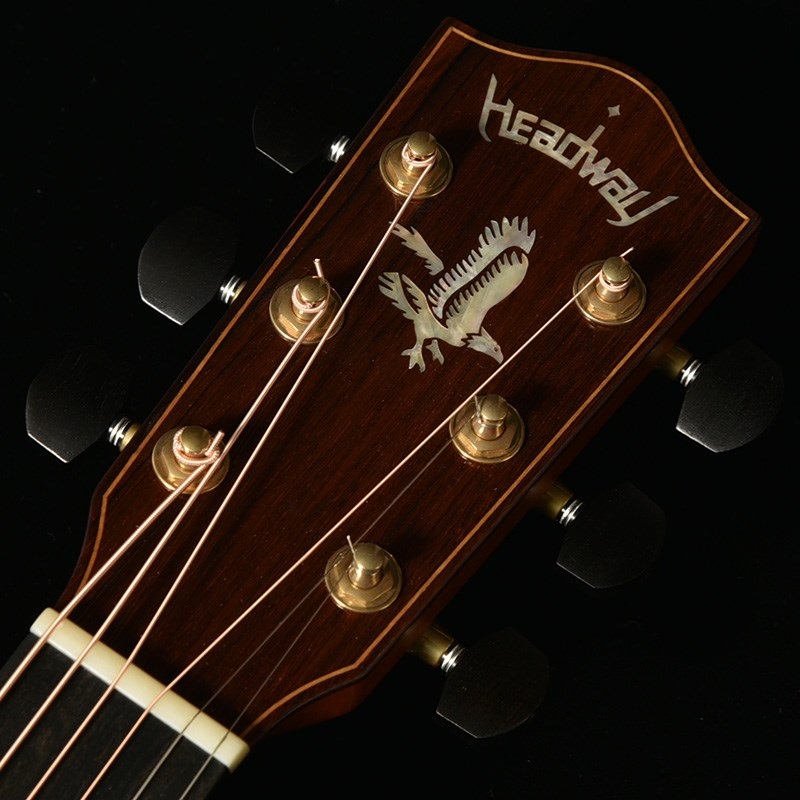 Headway The Eagle’25 Type F CN/SKP 【Deviser One Day Guitar Show 2024選定品】【12月下旬入荷予定】 ヘッドウェイ 画像5