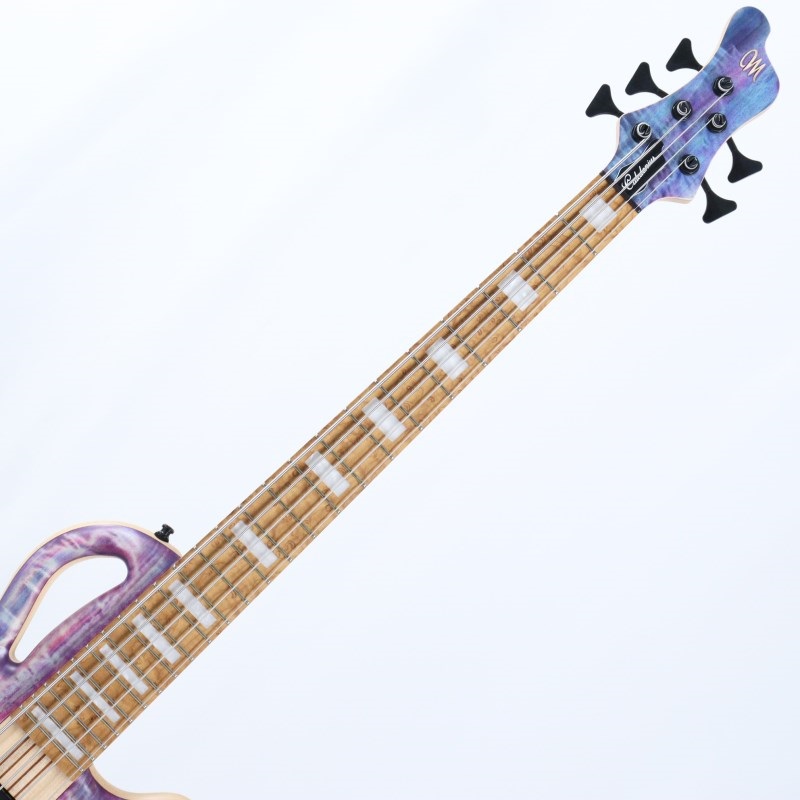 MAYONES Caledonius 5st 4A Curly Poplar Top (Custom Trans Purple Matt) 画像2