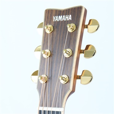 YAMAHA 【USED】 LL36 ARE ヤマハ 画像4