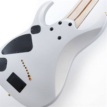 Ibanez Axe Design Lab RGDMS8-CSM 画像5