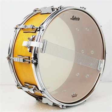 Ludwig LSN364XXPG [NeuSonic Snare Drum 14×6.5 / Satin Golden Slumbers]  ｜イケベ楽器店オンラインストア