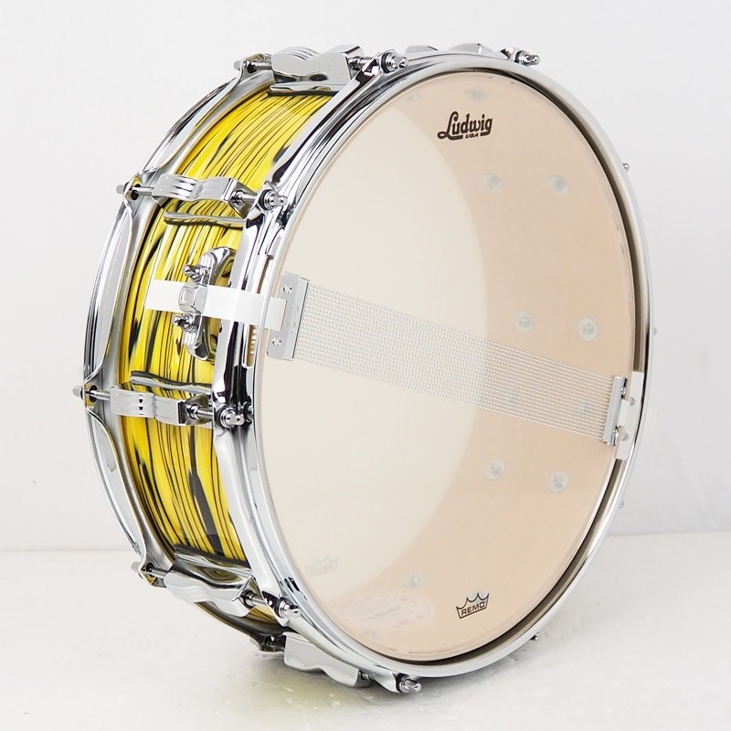 Ludwig LS401XXA2 [Classic Maple Snare Drum 14×5/Lemon Oyster] 画像4