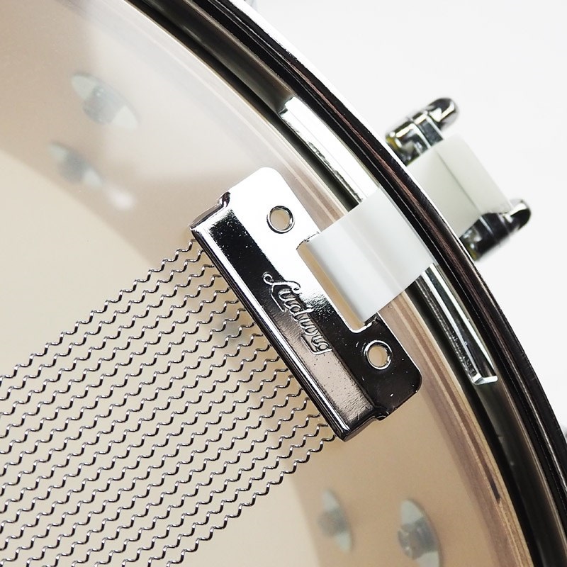 Ludwig LS401XXA2 [Classic Maple Snare Drum 14×5/Lemon Oyster] 画像7