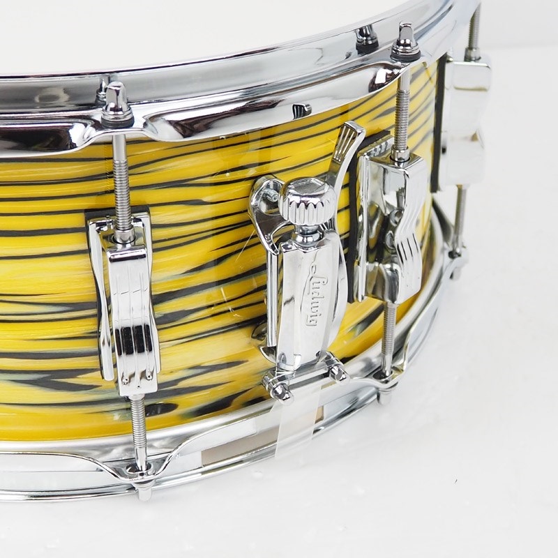 Ludwig LS403XXA2 [Classic Maple Snare Drum 14×6.5/Lemon Oyster] 画像5