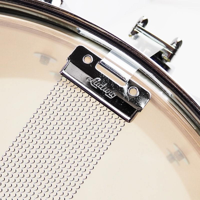 Ludwig LS403XXA2 [Classic Maple Snare Drum 14×6.5/Lemon Oyster] 画像7