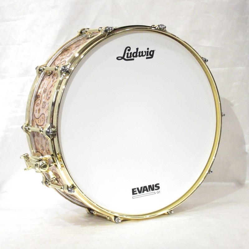 Ludwig 【全世界250台限定発売】LS401TDPWB [Anderson .Paak ''Pee .Wee'' Snare Drum 14''×5''] 画像5