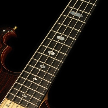 ALEMBIC 【USED】 MKLB5 / Custom Mark King Deluxe '07 画像6