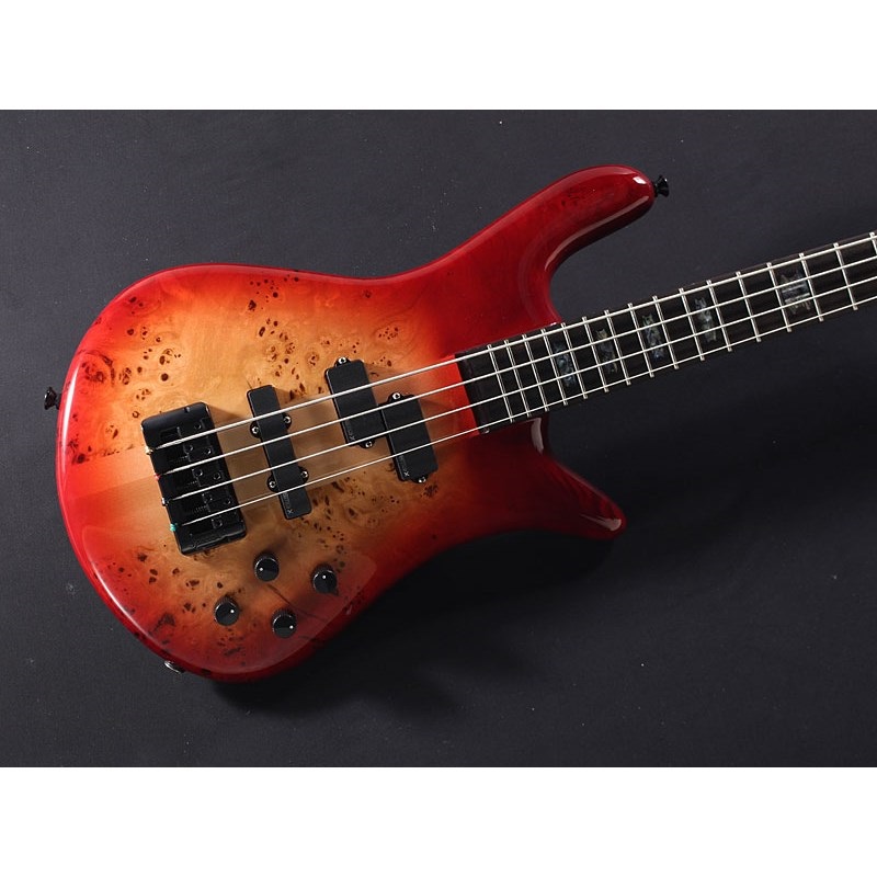 SPECTOR EURO 4 CST (Natural Red Burst Gloss) 【特価】 画像2