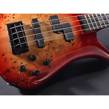 SPECTOR EURO 4 CST (Natural Red Burst Gloss) 【特価】 画像3