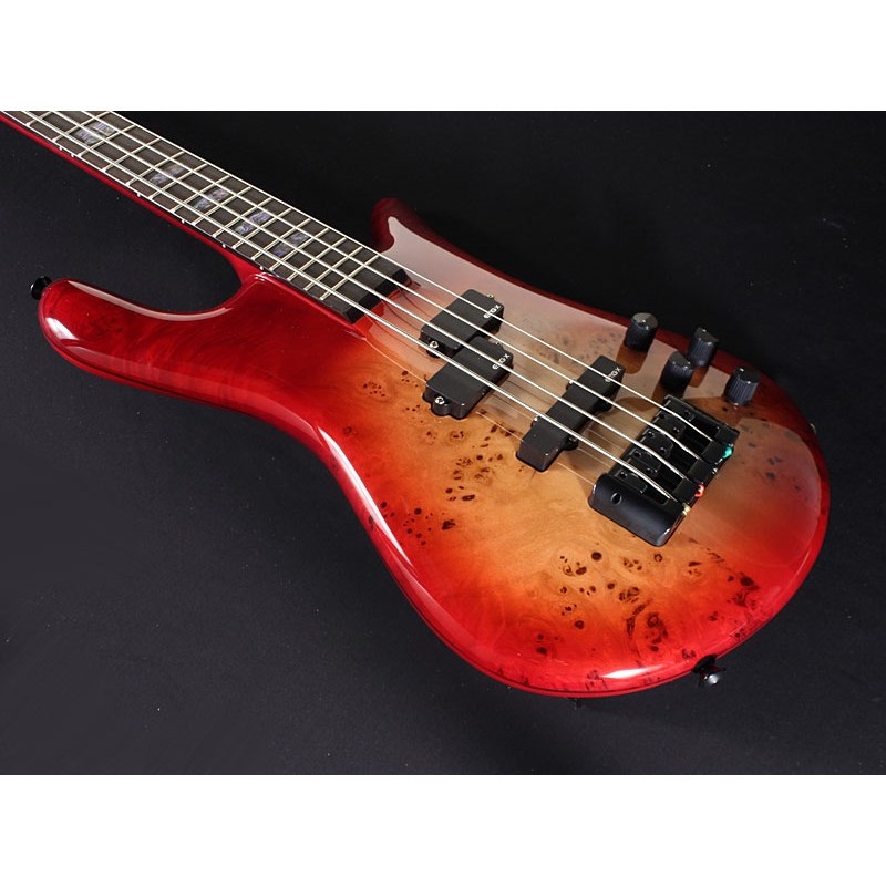 SPECTOR EURO 4 CST (Natural Red Burst Gloss) 【特価】 画像4