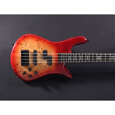 SPECTOR EURO 4 CST (Natural Red Burst Gloss) 【特価】 画像5