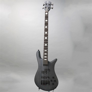 SPECTOR Euro 4 LX  (Black Stain Matte) 画像1