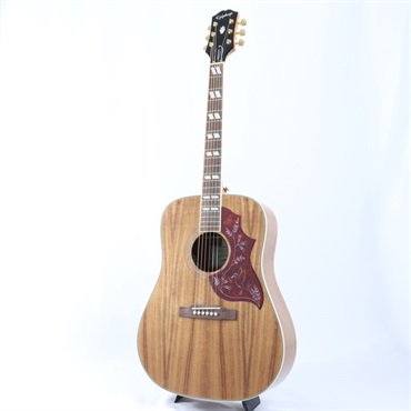 Epiphone Hummingbird Koa Special 【海外限定生産モデル】 エピフォン 画像1