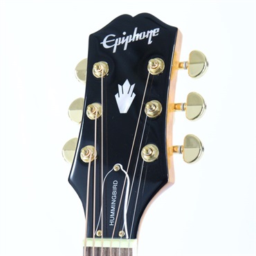 Epiphone Hummingbird Koa Special 【海外限定生産モデル】 エピフォン ｜イケベ楽器店オンラインストア