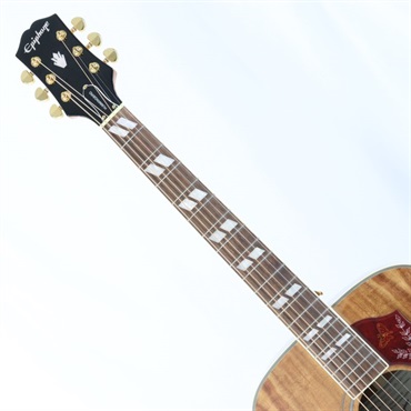 Epiphone Hummingbird Koa Special 【海外限定生産モデル】 エピフォン 画像6