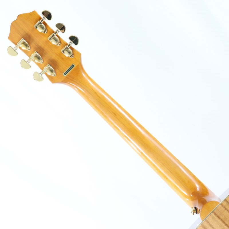 Epiphone Hummingbird Koa Special 【海外限定生産モデル】 エピフォン ｜イケベ楽器店オンラインストア