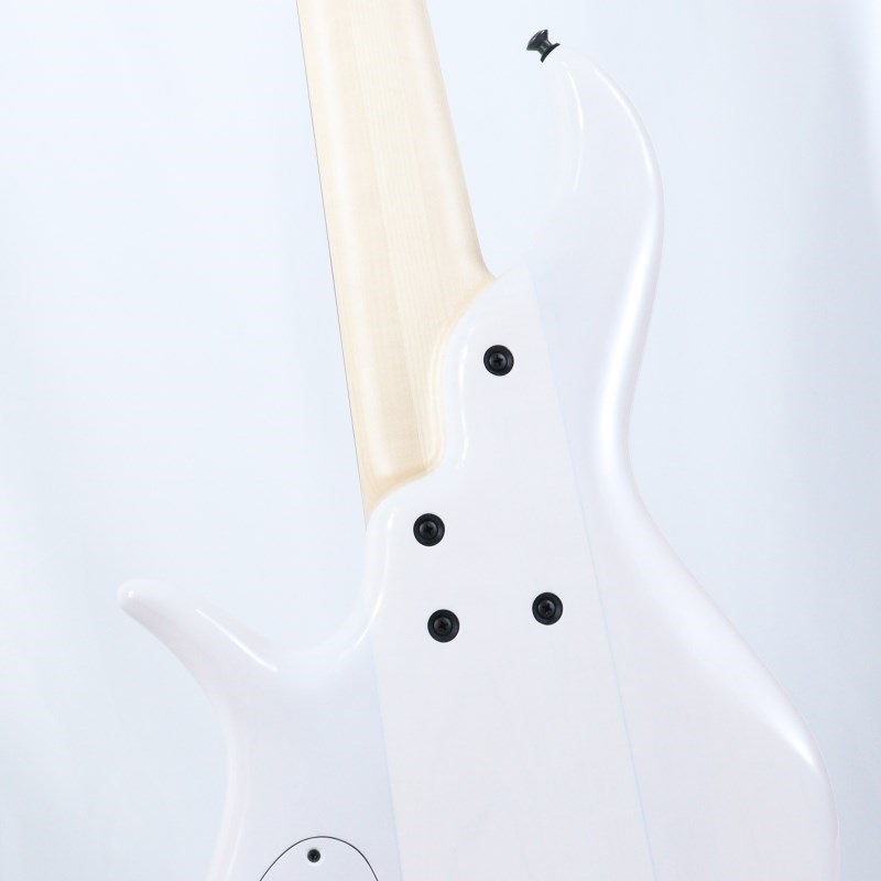 F-bass AC Signature 6strings-TW (Transparent White Gloss) 画像9