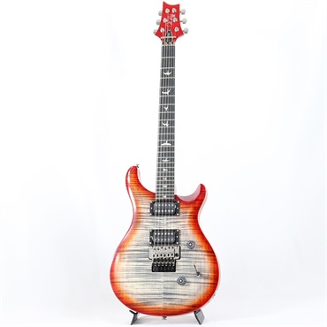 P.R.S. SE Custom 24 Floyd (Charcoal Cherry Burst) 画像1